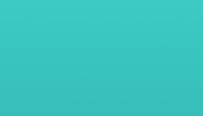 portfolio-placeholder